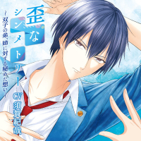 歪なシンメトリー　セット