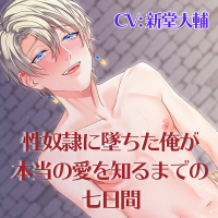 性○○に墜ちた俺が本当の愛を知るまでの七日間　セット