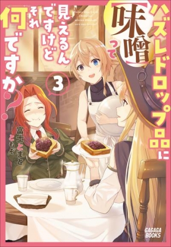 ハズレドロップ品に【味噌】って見えるんですけど、それ何ですか? 3