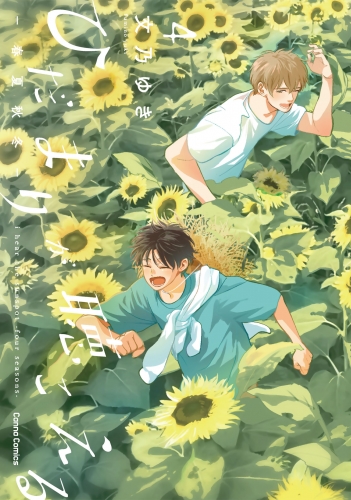 ひだまりが聴こえる-春夏秋冬-4【単行本版】